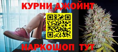 гашик Обь