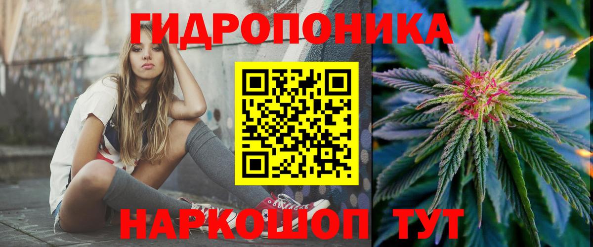 Канабис конопля Тихвин